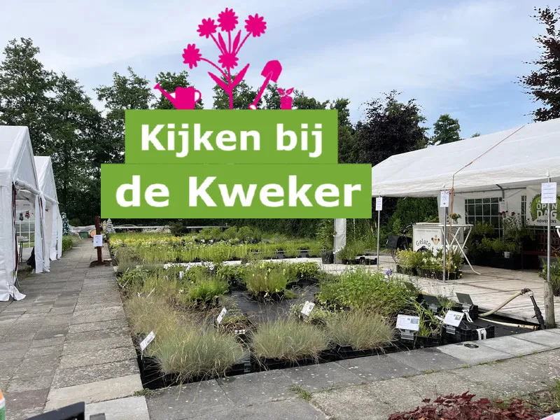 Kijken bij de Kweker open dag bij Harco Kwekerij